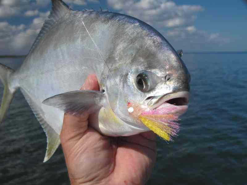Substitute bead chain for the lead dumbbells of your pompano flies for sight-casting in the shallowest water.