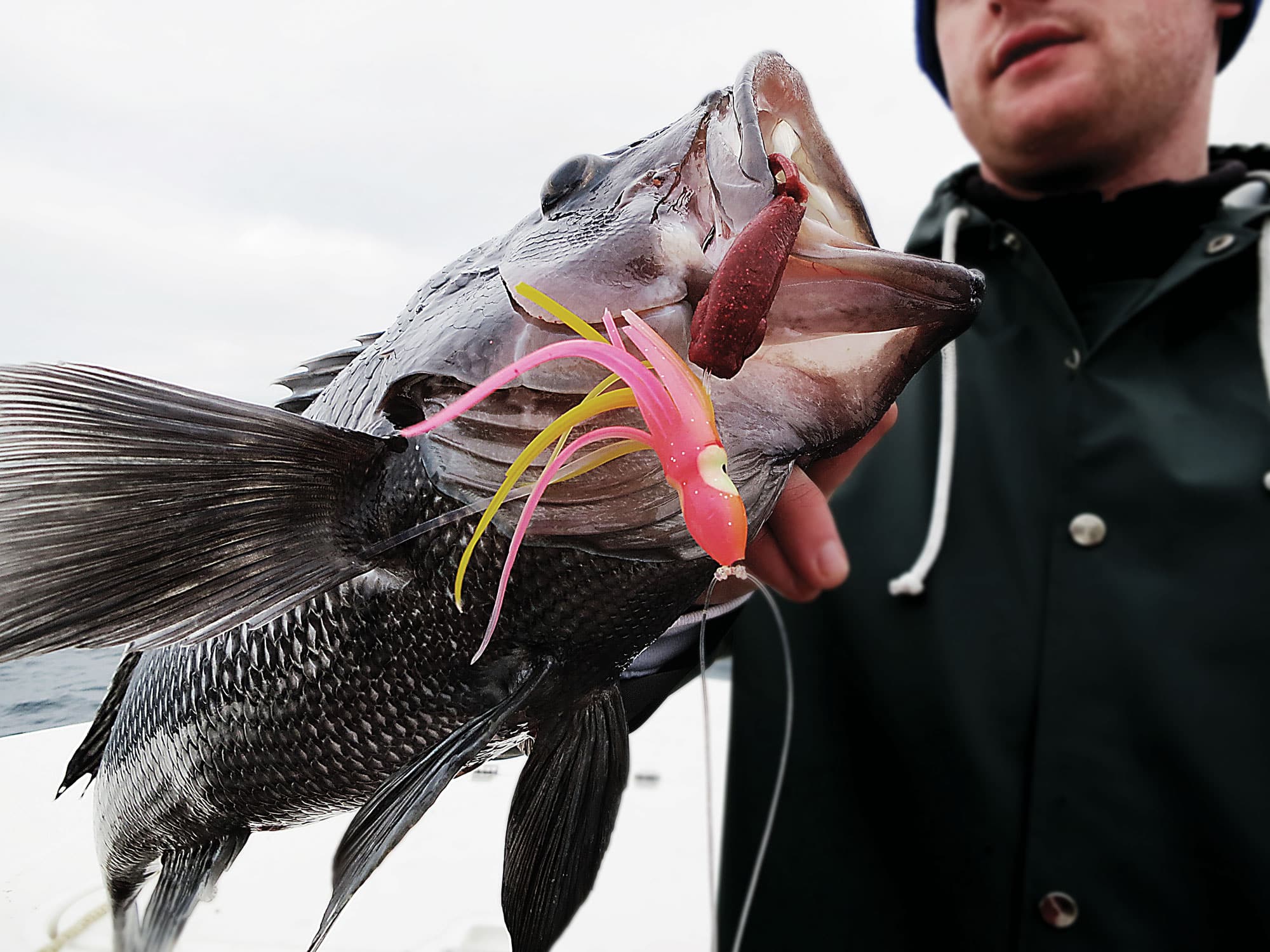 Black Sea Bass Fishing in New Jersey Salt Water Sportsman