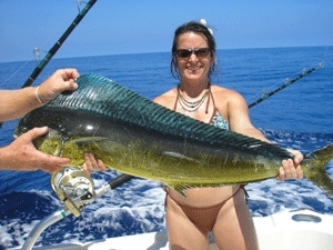 Fish Babes 4