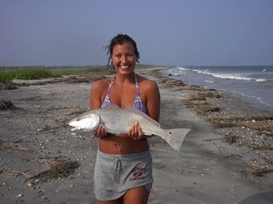 Fish Babes 4