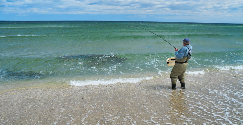 New Jersey Surf Fishing for Bluefish | Salt Water Sportsman