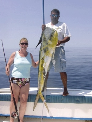 Fish Babes 4