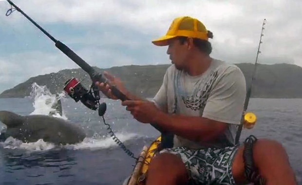 Airborne Shark Near Kayak
