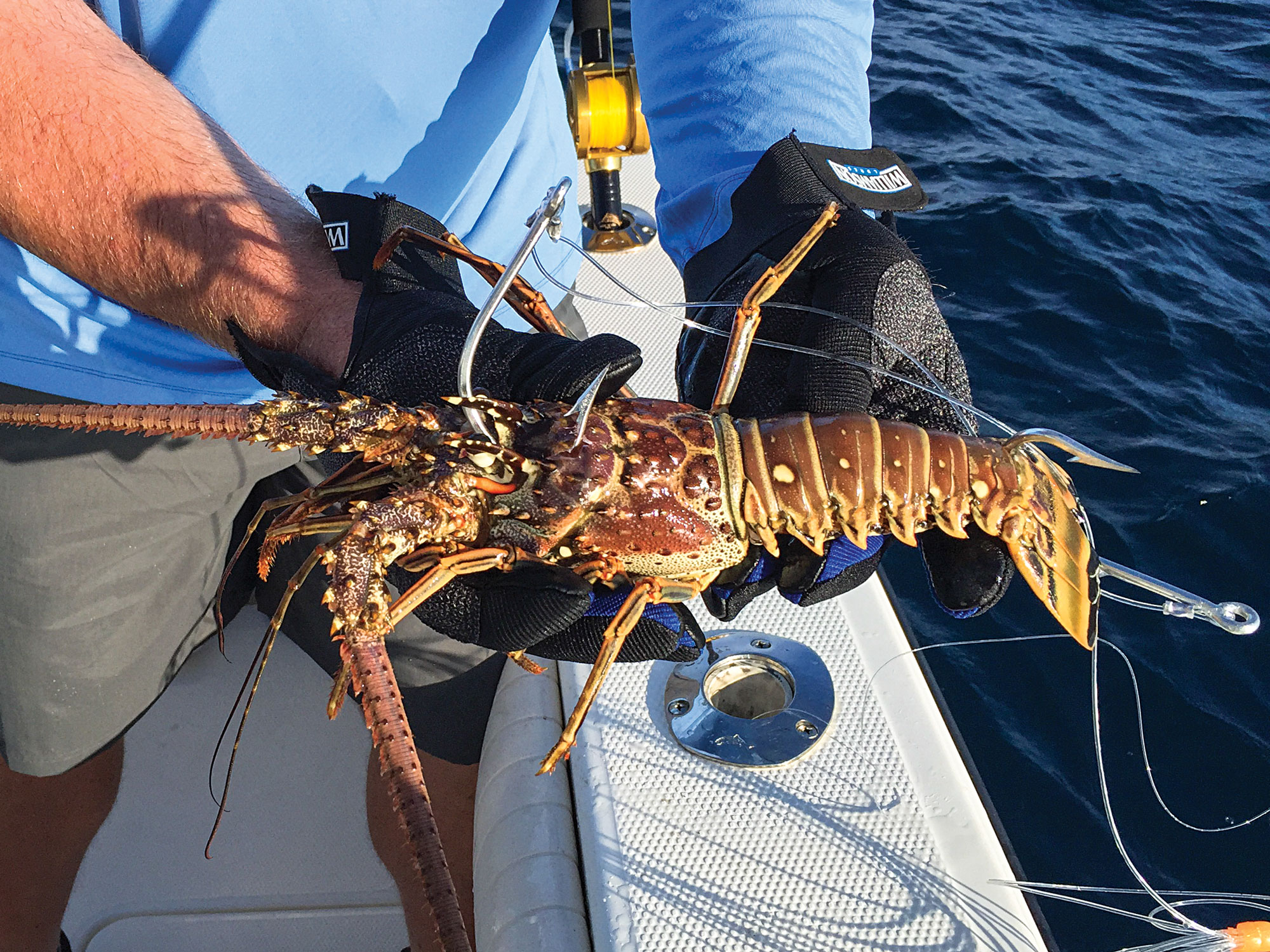 Cubaro Snapper Rigs How to Catch Cubera Snapper | Salt Water Sportsman