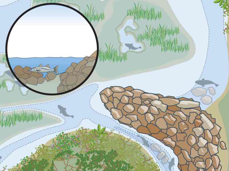 Submerged rocks and riprap soak up the sun's warmth and bring up the temperature of the water around them.