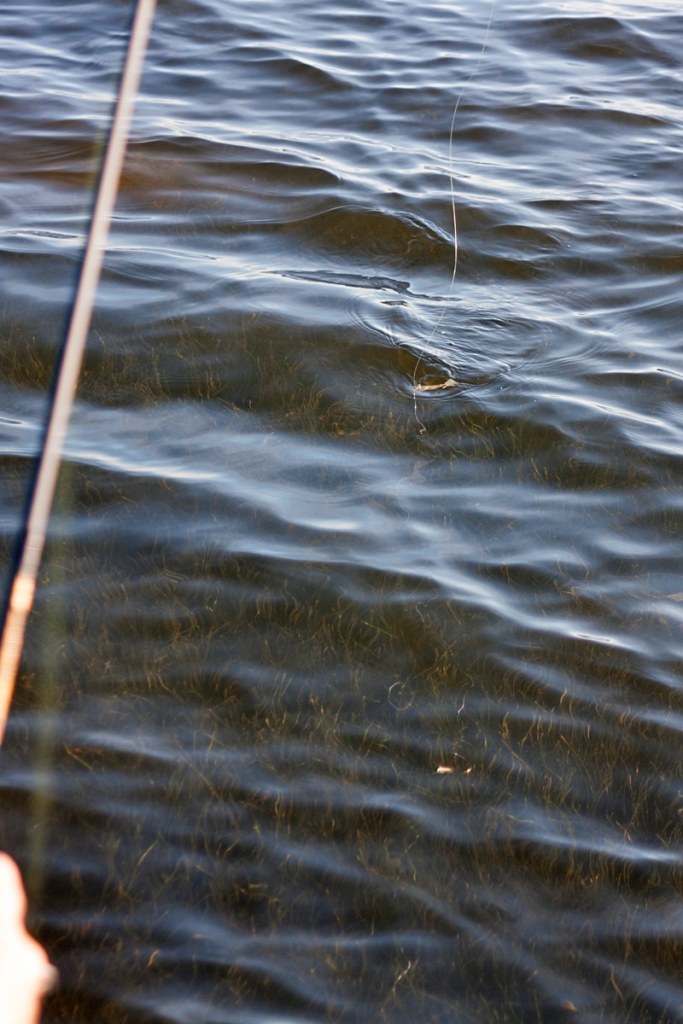 In deeper water, the guide switches to a tactic he calls minesweeping.