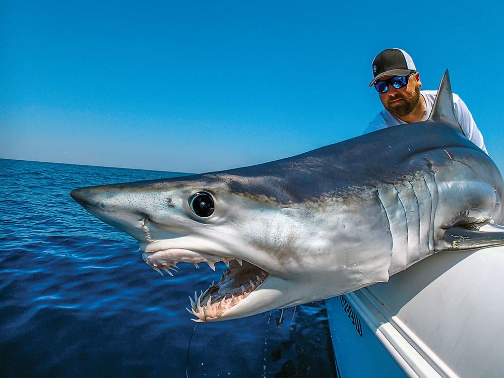 Big Game Shark Fishing, Blue Shark Fishing Charters