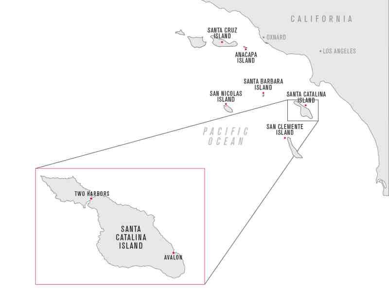 Catalina Island, one of the Channel Islands, offers easy access to yellowtail fishing