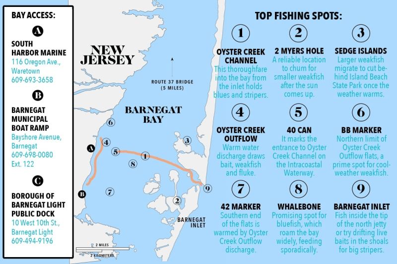 Barnegat Bay