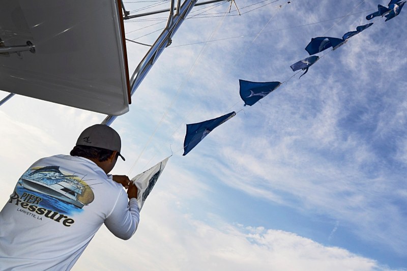 white marlin fishing