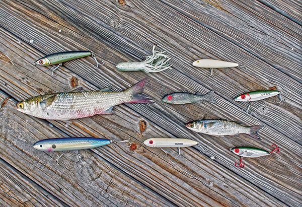 mullet-lures-086-(3).jpg