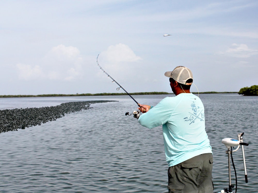 Oyster Bar Cast by Alex Suescun