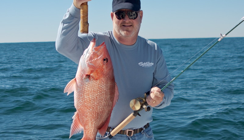 Go Light panhandle-snapper-lear.jpg