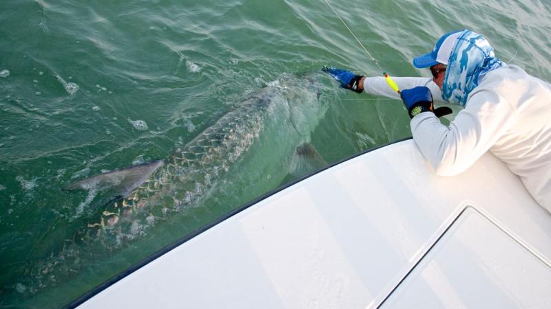 pat-ford-200-pound-tarpon-01.jpg