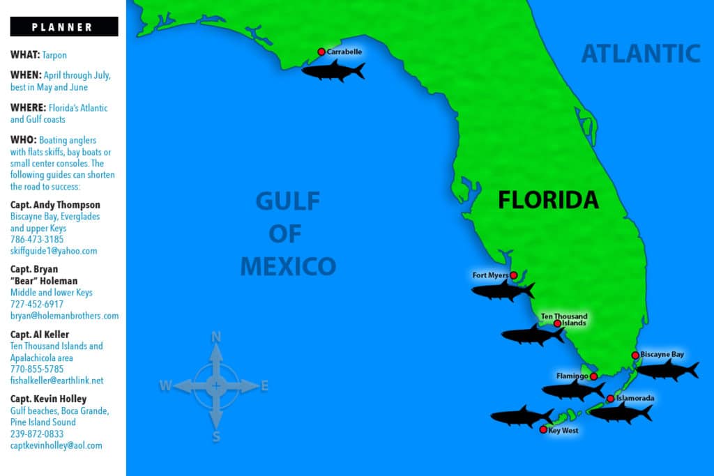 tarpon fishing in Florida