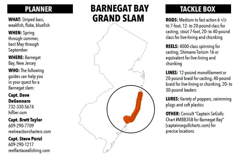 fishing Barnegat Bay