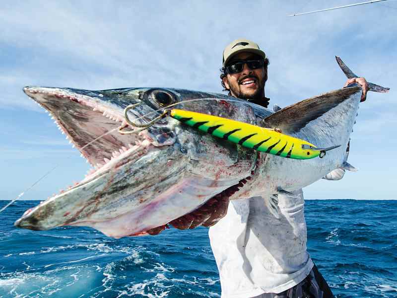 trolling plugs fast kingfish pro tips