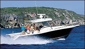 pursuit3070.jpg