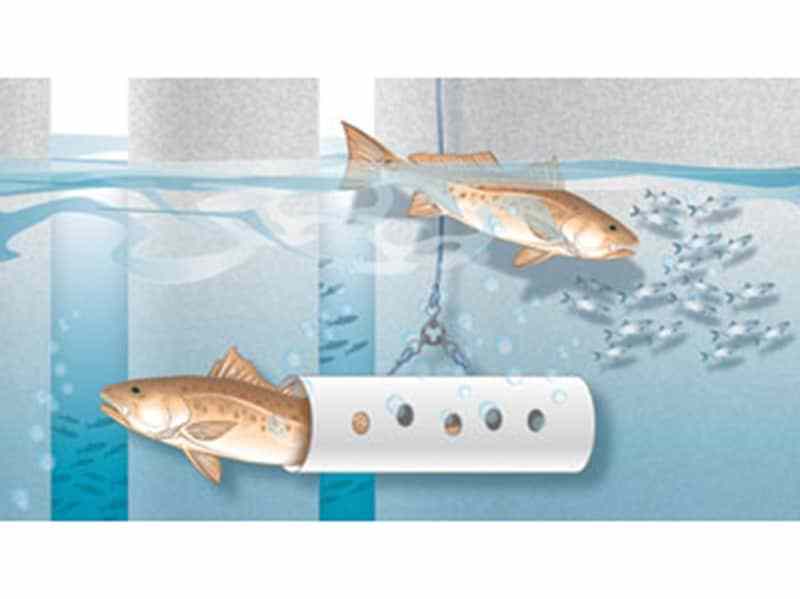 Reader Fishin Salt Water Sportsman Reader Fishing Tips | Salt Water Sportsman