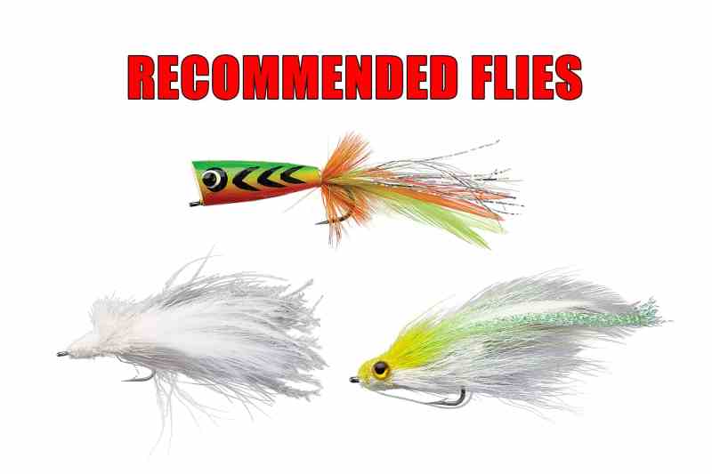 saltwater fishing flies