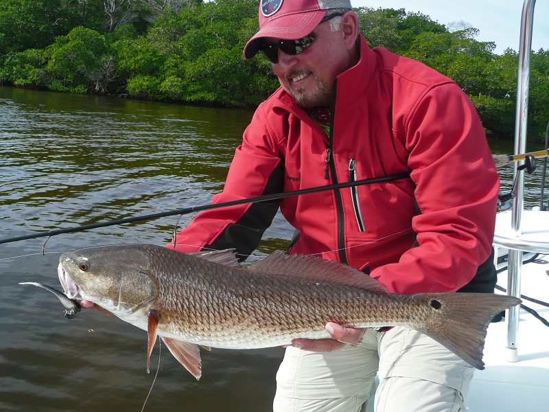 Fishing regulations in most states include slot-size limits to protect redfish.