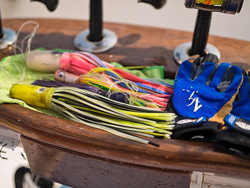 Teasers are an essential tool of sailfishing with fly tackle