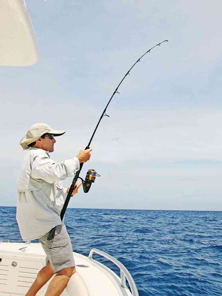 Shallow water Florida Keys sailfish