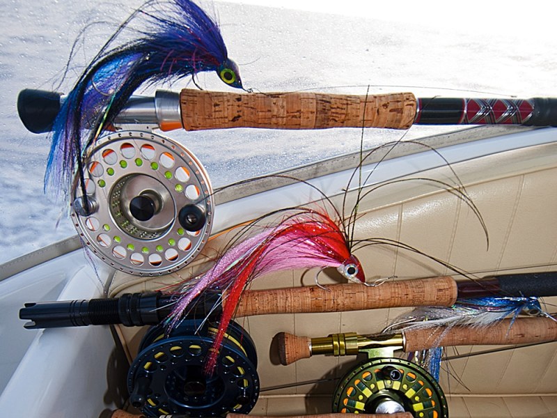 amazon okuma solarus surf spinn rod Okumas Solaris Surf Fishing Rods Ss S 802m 2