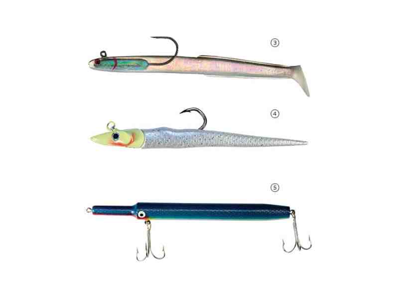 Everything Eats Sand Eels