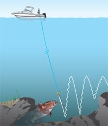 sc_short_220x258.jpg