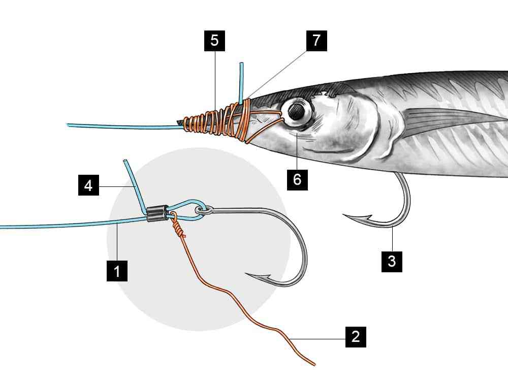 How to Rig a Ballyhoo, Rigging Ballyhoo for Trolling | Salt Water Sportsman