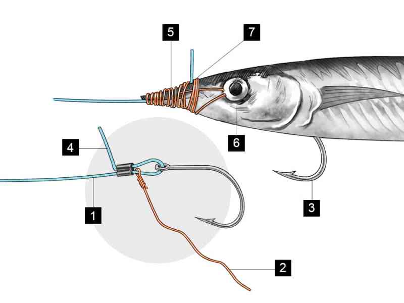 Short-Shank ballyhoo rig