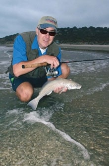 sj_corbina1_220x334.jpg