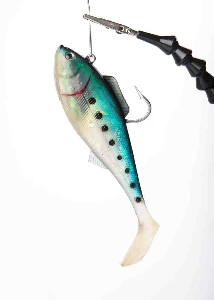 How to Target Chesapeake Bay Redfish