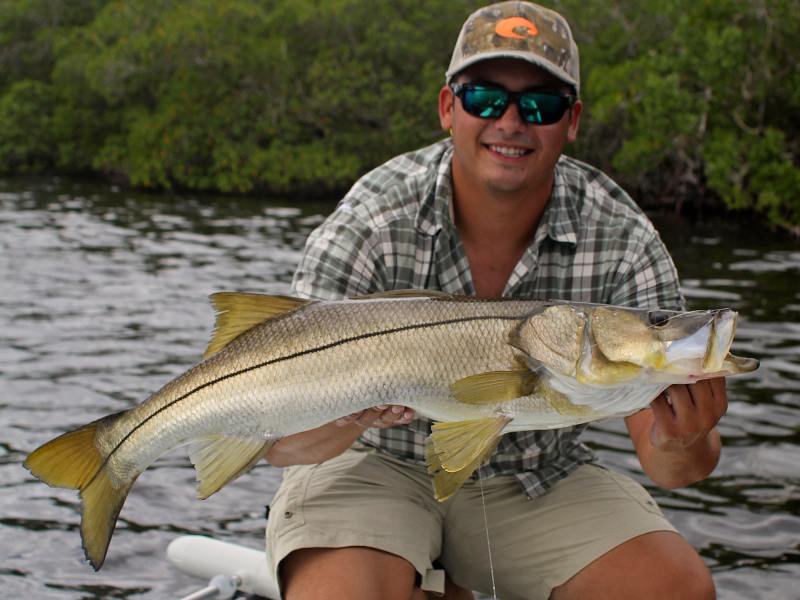 Snook are often called linesiders.
