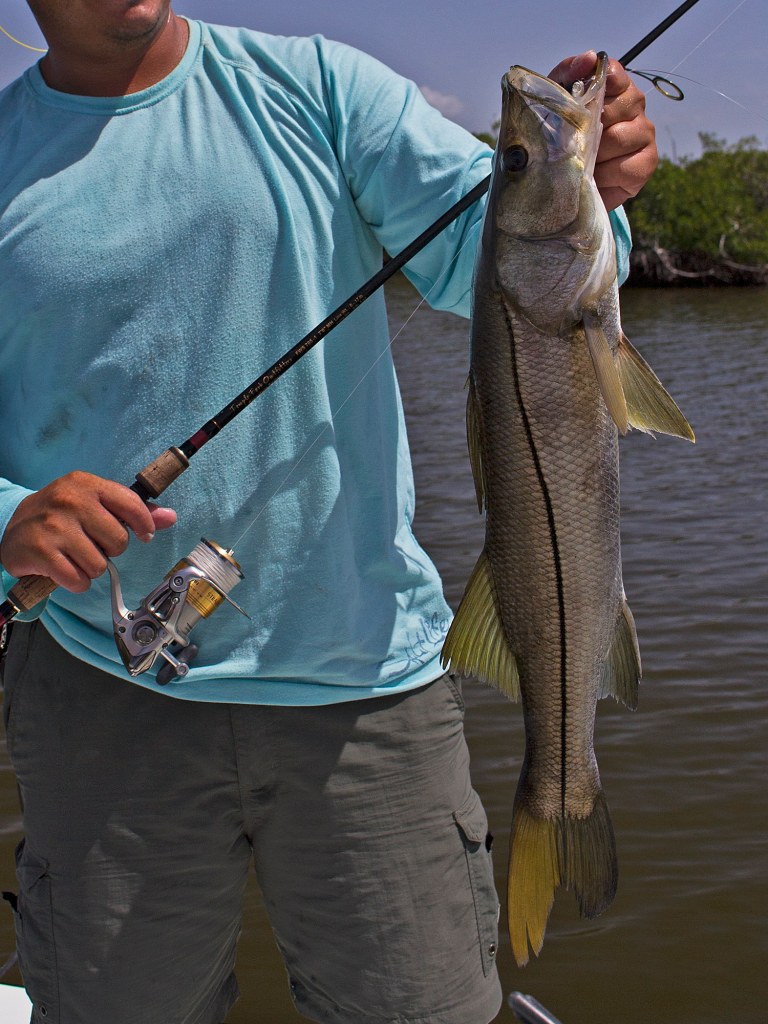 scentes lures for snook