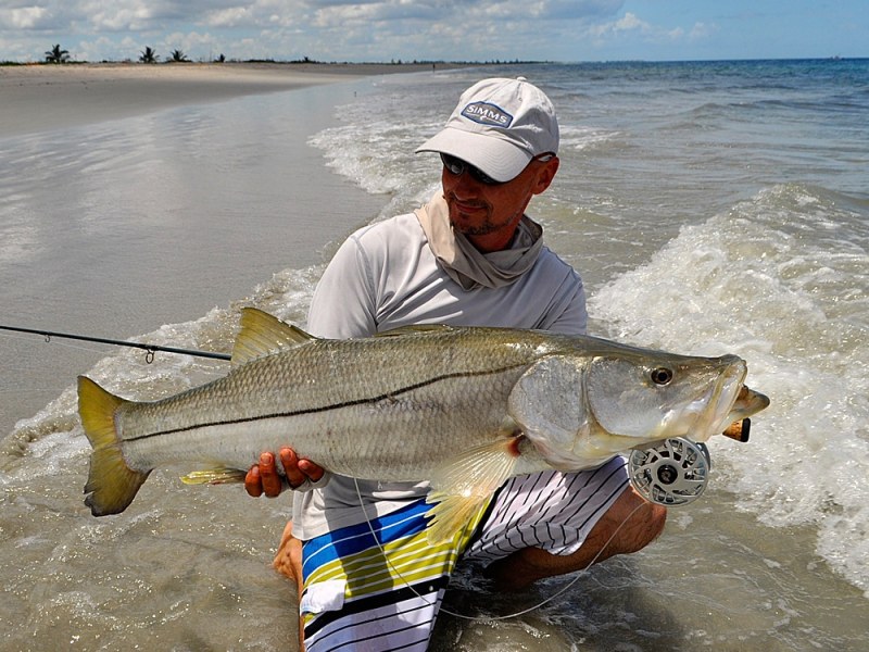 catching snook in inlets