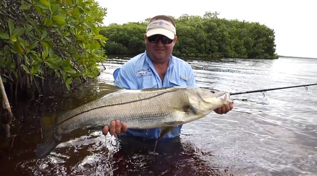 Snook Video Image Snook Video Image