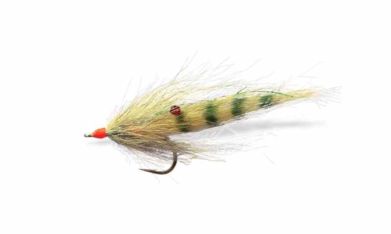 Snook Shrimp fly by Mike Conner