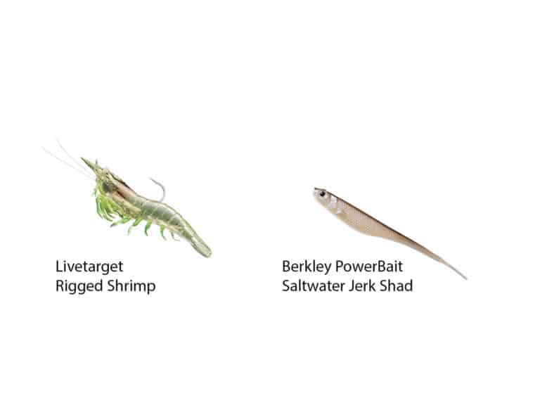 Key Largo Fishing Spots and Tips Salt Water Sportsman