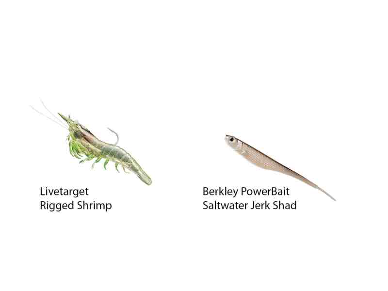 Key Largo offers variety and abundance