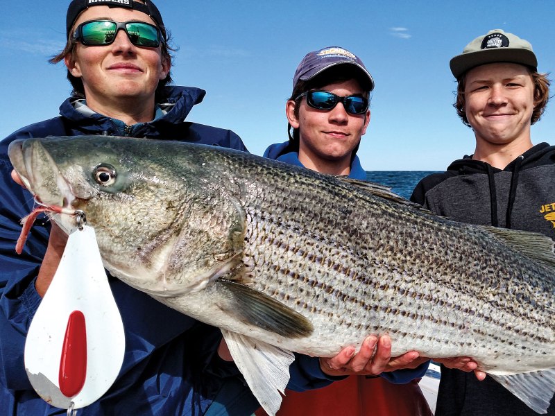 Giant striped bass feed recklessly when menhaden congregate along the New Jersey coast.