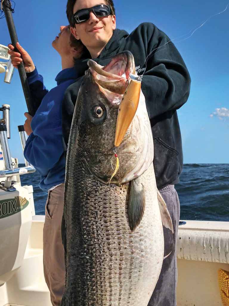 The pinnacle of trophy-bass fishing comes when you catch them on ­artificials such as lipped swimming plugs and surface poppers.