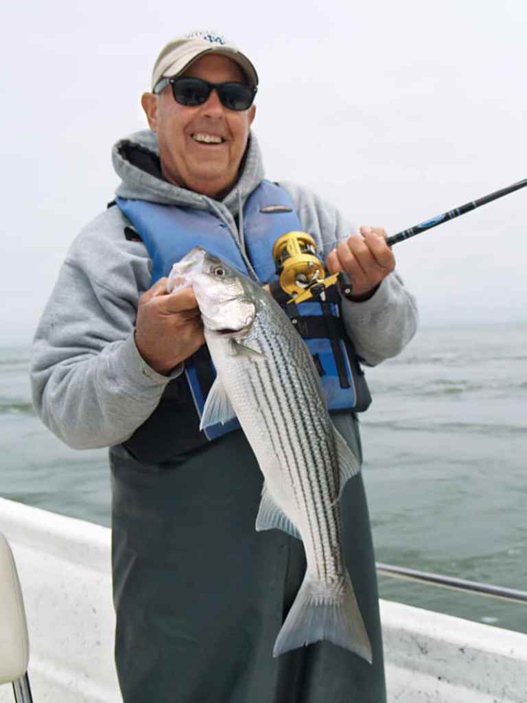 striped bass