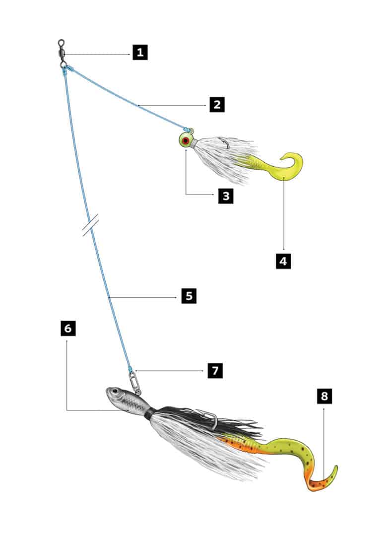 How to Catch Trophy Fluke Salt Water Sportsman