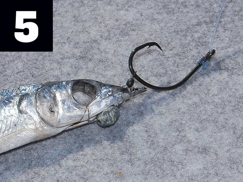 Swivel-Rig Pitch Baits