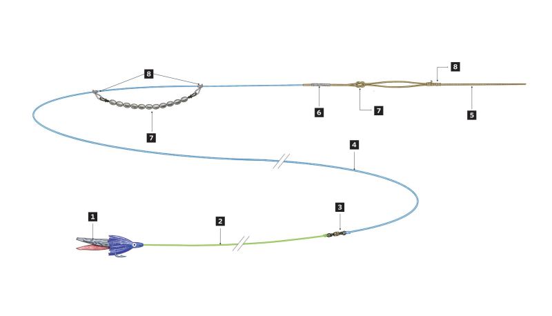 Daytime Swordfish Rig