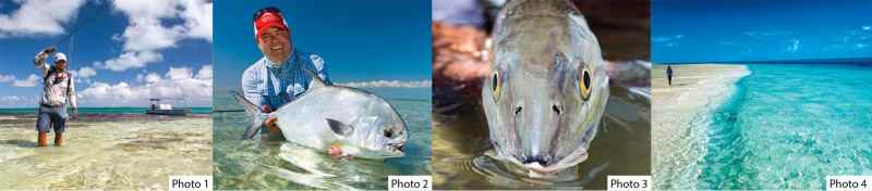 How to Take Better Fish Pictures