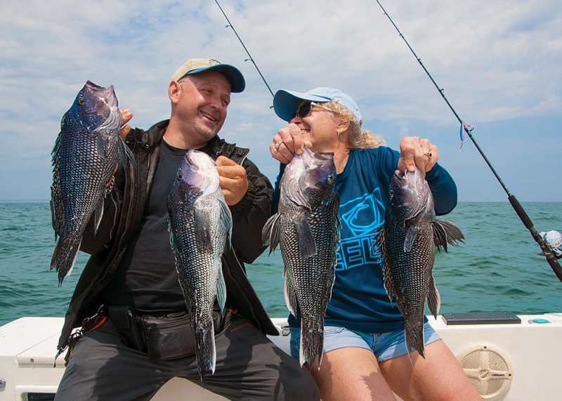 Black Sea Bass on Light Tackle