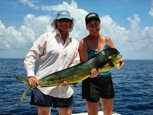 Fish Babes 4